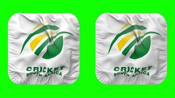 Grillo sur África, csa bandera icono en escudero forma aislado con llanura y bache textura, 3d representación, verde pantalla, alfa mate video