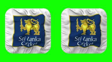 Sri Lanka Cricket, SLC Flag Icon in Squire Shape Isolated with Plain and Bump Texture, 3D Rendering, Green Screen, Alpha Matte video