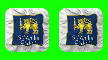 Sri Lanka Cricket, SLC Flag Icon in Squire Shape Isolated with Plain and Bump Texture, 3D Rendering, Green Screen, Alpha Matte video