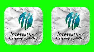 internacional Grillo concejo, icc bandera icono en escudero forma aislado con llanura y bache textura, 3d representación, verde pantalla, alfa mate video