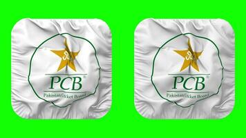 Pakistan criquet conseil, pcb drapeau icône dans écuyer forme isolé avec plaine et bosse texture, 3d le rendu, vert filtrer, alpha mat video