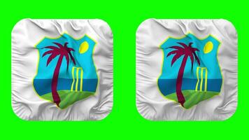 Cricket West Indies, CWI Flag Icon in Squire Shape Isolated with Plain and Bump Texture, 3D Rendering, Green Screen, Alpha Matte video