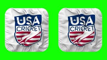 vereinigt Zustände National Kricket Team, usaca Flagge Symbol im Knappe gestalten isoliert mit einfach und stoßen Textur, 3d Wiedergabe, Grün Bildschirm, Alpha matt video