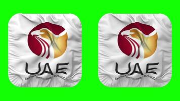 United Arab Emirates Cricket Board Flag Icon in Squire Shape Isolated with Plain and Bump Texture, 3D Rendering, Green Screen, Alpha Matte video