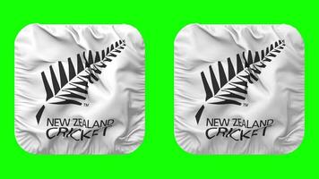 Neu Neuseeland Kricket, nzc Flagge Symbol im Knappe gestalten isoliert mit einfach und stoßen Textur, 3d Wiedergabe, Grün Bildschirm, Alpha matt video