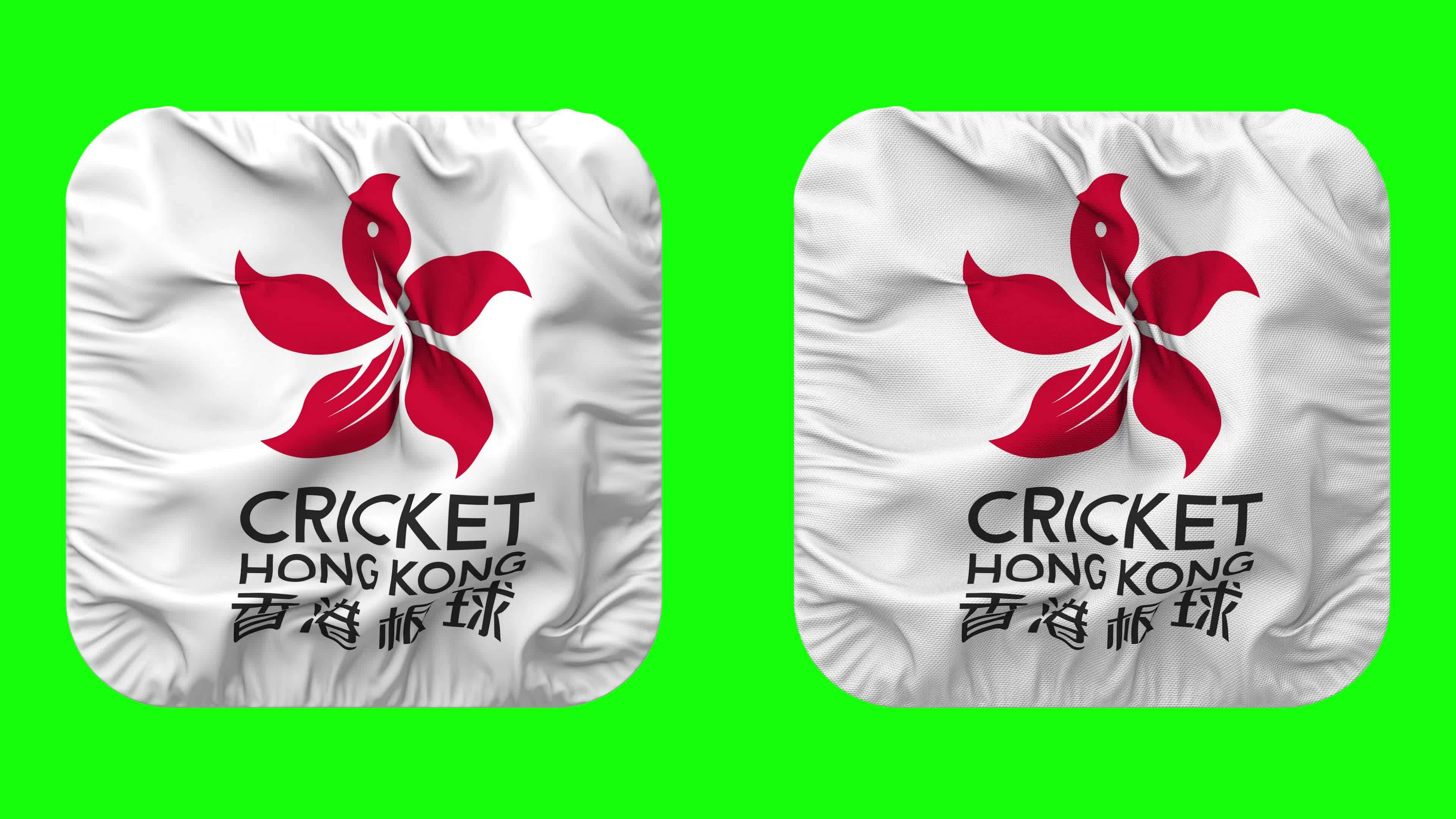 Cricket hong kong flag icon in squire shape isolated with plain and