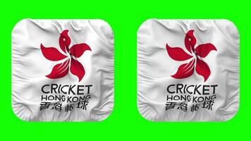 Cricket Hong Kong Flag Icon in Squire Shape Isolated with Plain and Bump Texture, 3D Rendering, Green Screen, Alpha Matte video