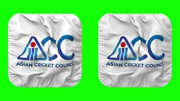 asiatico cricket consiglio, acc bandiera icona nel scudiero forma isolato con pianura e urto struttura, 3d rendering, verde schermo, alfa Opaco video