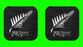 New Zealand Cricket, NZC Flag Icon in Squire Shape Isolated with Plain and Bump Texture, 3D Rendering, Green Screen, Alpha Matte video