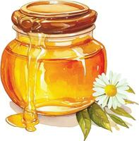 watercolor drawing. jar of honey. illustration on the theme of beekeeping, farming, natural products vector