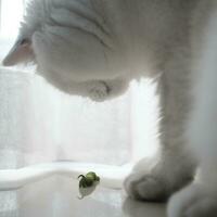 close up of a cat with a caterpillar on a white background photo
