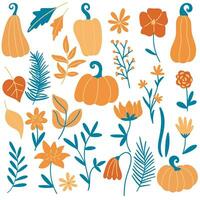 conjunto de otoño hojas, hierbas, flores y calabazas vector