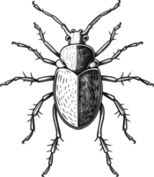 insect art in black and white  ai generative png