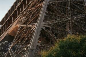 eiffel torre a puesta de sol con primer plano árbol foto