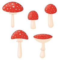 Fly agaric collection isolated on white forest poisonous mushrooms vector