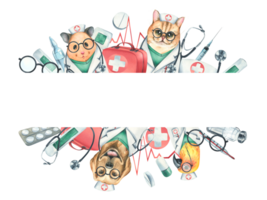 Hund, Katze, Hamster, Papagei Ärzte im ein Dressing Kleid, Gläser, Stethoskop, ein Koffer und medizinisch Instrumente, Injektionen. Aquarell Illustration Hand gezeichnet. Vorlage, Rahmen png