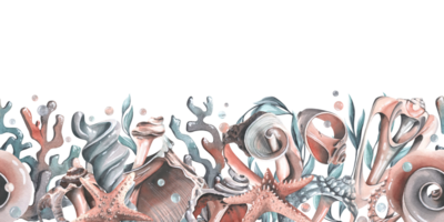 Muscheln, Seesterne, Blasen, Algen und Korallen Türkis. Aquarell Illustration Hand gezeichnet. nahtlos Rand png