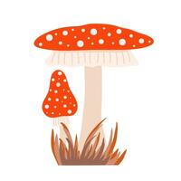 Mushroom red with white dots in dry grass, fly agaric composition seasonal Halloween vector illustration of inedible witch mushrooms autumn holidays simple minimalist hand drawn doodle style image
