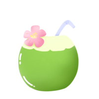 ilustración de un Coco png