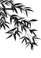 leaves silhouette, Shadows of bamboo isolated png