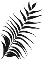 ombre feuilles silhouette, tropical branche feuille recouvrir, élément objet pour printemps été, moquer en haut produit présentation png