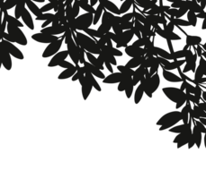 silhouet bladeren schaduw grens, illustratie geïsoleerd kader van schaduw blad bedekking Aan muur achtergrond, concept voor elementen ontwerp decoratie voor lente, zomer banier png