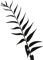 ombra le foglie silhouette, tropicale ramo foglia sovrapposizione, elemento oggetto per primavera estate, finto su Prodotto presentazione png