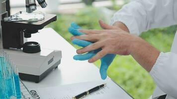 investigadores de atención médica que trabajan en el laboratorio de ciencias de la vida. joven científica investigadora y supervisora masculina senior preparando y analizando portaobjetos de microscopio en el laboratorio de investigación. video