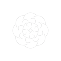 Dashed Flower element png