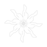 tracejadas flor elemento png