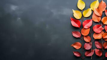 Autumn background with colored red leaves on grey slate background top view copy space photo
