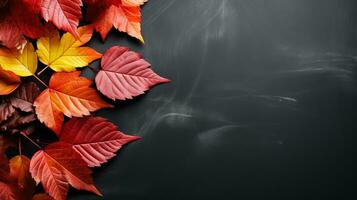 Autumn background with colored red leaves on black slate background top view copy space photo