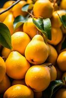 Succulent pears in autumn agricultural market photo