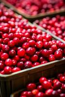 Fresh cranberries in autumn agricultural market photo