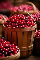 Colorful cranberries in autumn agricultural market photo