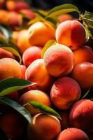 Succulent peaches in autumn agricultural market photo