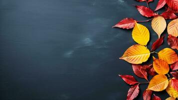 Autumn background with colored red leaves on blue slate background top view copy space photo