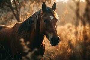 hermosa caballo en el campo. ai generativo foto