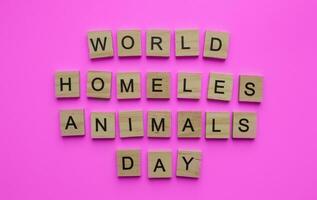 August 19, International Homeless Animals Day, World Homeless Animals Day, minimalistic banner with the inscription in wooden letters photo