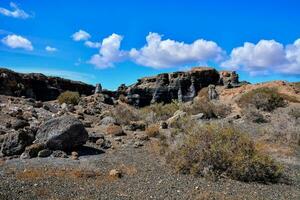 the landscape of the desert with rocks and bushes photo