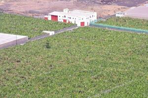 an aerial view of a large field photo