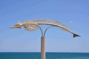 a fish skeleton on a pole near the ocean photo