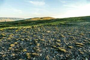 un herboso colina con rocas y césped foto