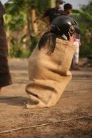 sack race during indonesia independence day photo