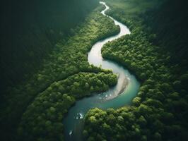 un aéreo ver de un devanado río corte mediante un denso bosque generativo ai foto