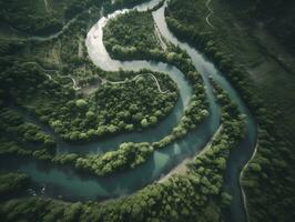 un aéreo ver de un devanado río corte mediante un denso bosque generativo ai foto