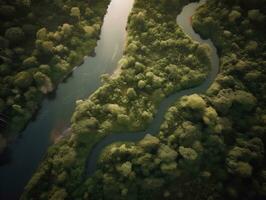 un aéreo ver de un devanado río corte mediante un denso bosque generativo ai foto