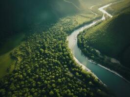 An aerial view of a winding river cutting through a dense forest generative ai photo