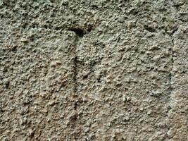 Abstract background of concrete texture, wall, building. rough surface for design background photo