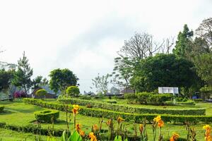 Beautiful view of the amazing park in Morning photo
